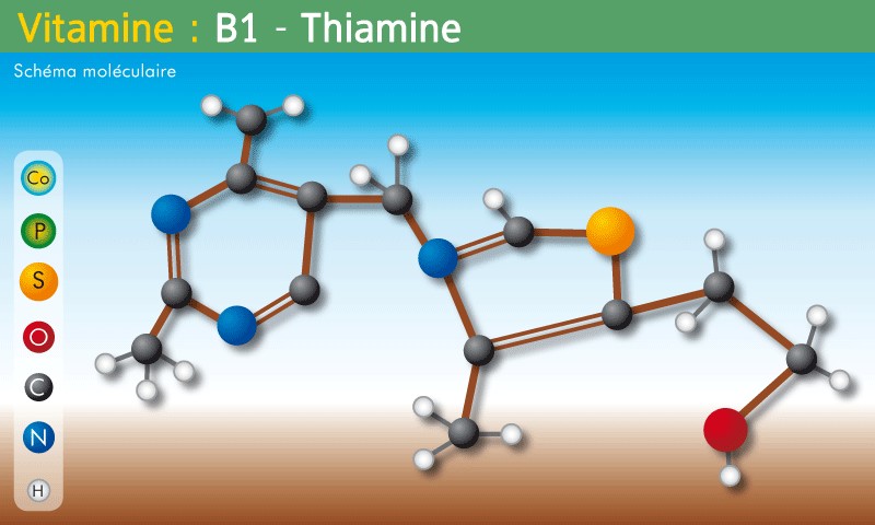 Vitamine-B1.jpg