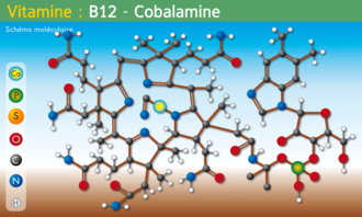 Molecule Vitamine-B12.png