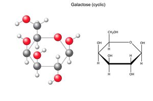 Galactose-formules.jpg