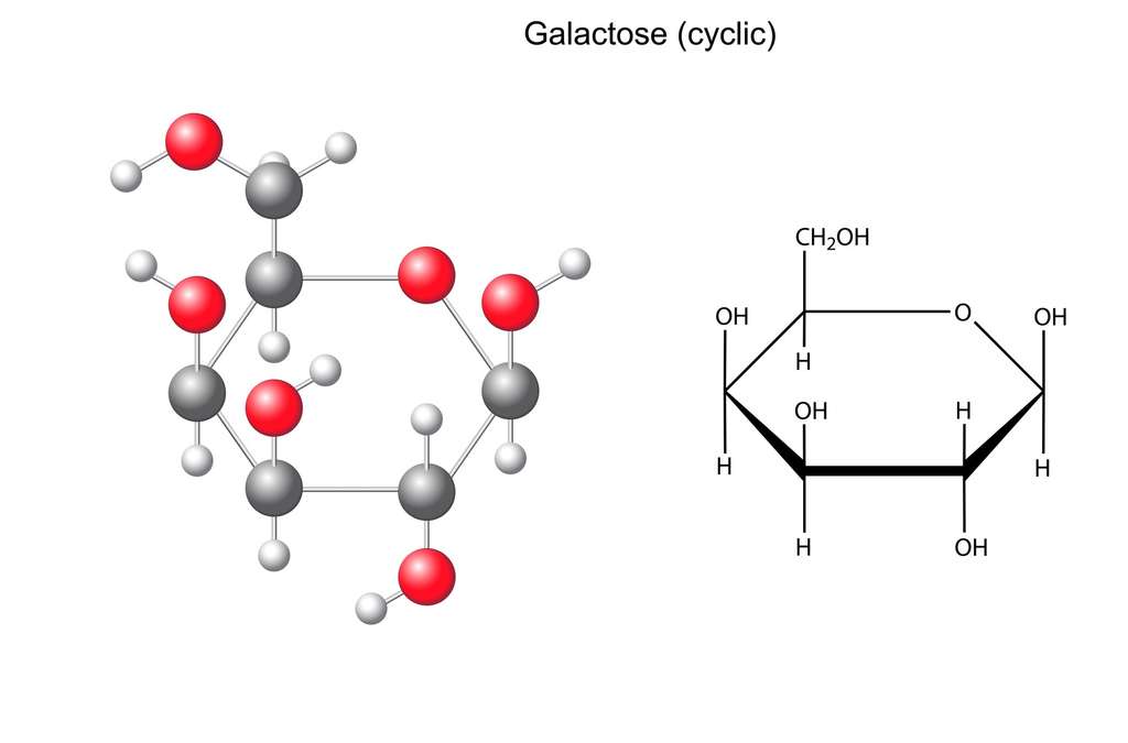 molécule du galactose sous forme cyclique. © logos2012, Fotolia