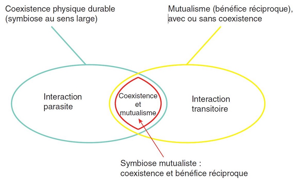 Symbiose-parasitisme symbiose-mutualisme.jpg