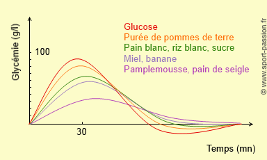 Vitesse d'absorption des glucides