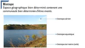 Biotope1.jpg