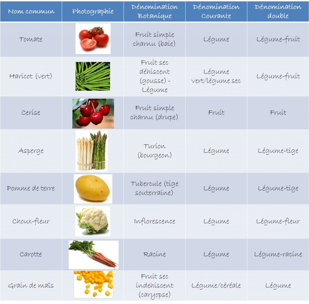 Tableau-fruits-legumes-didactique.jpg
