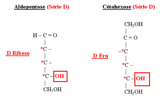 Aldopentose-cetohexose-d.gif