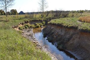 L'érosion des berges résulte du sapement et de l'affouillement des berges des cours d'eau naturels et des canaux de drainage.JPEG