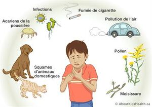 Asthma Triggers EQUIP ILL FR.jpg