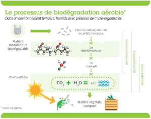 Plastique-Biodégradable-MR18.png