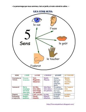 Les cinq sens.jpg