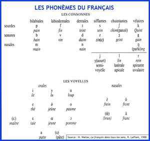 Les phonèmes du français.jpg