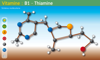 Molecule Vitamine-B1.png