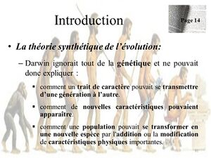 Introduction+La+théorie+synthétique+de+l’évolution-.jpg