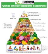 Pyramide-alimentaire-vegetalienne-vegetarien654.jpg