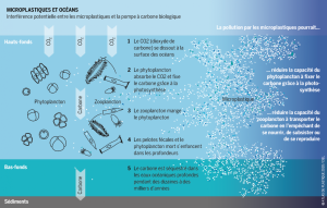 Microplastiques et océans-MR20.png