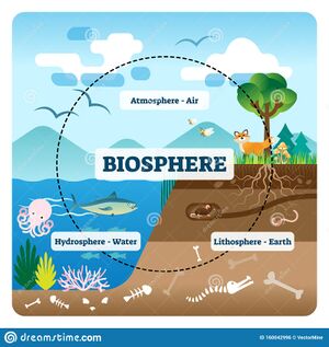 Illustration-vectorielle-de-la-biosphère-étiquetage-tous-les-écosystèmes-naturels-avec-faune-exemple-pédagogique-atmosphère-160042996.jpg