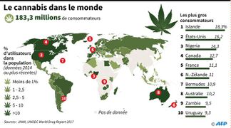 Cannabis-monde 1.jpg