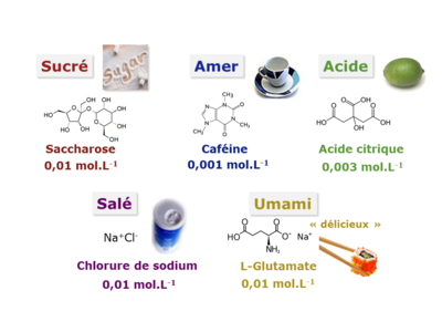 Figure 4. Les 5 saveurs primaires et quelques exemples de composés les générant. Le seuil de détection par l’être humain est indiqué.