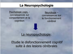 Neuropsycho.png