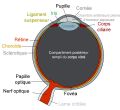 Vignette pour la version du 20 décembre 2024 à 19:32