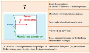 Force pressante fehri1.jpg