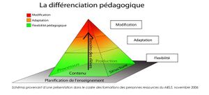 Pyramide Differenciation.jpg