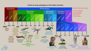 Echelle-geologique.jpg