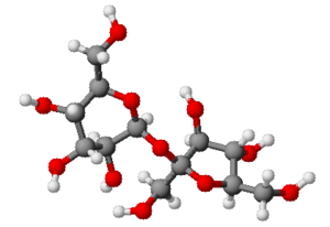 Molecule de saccharose 2020.png