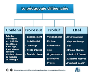La-pedagogie-differenciee- 1 .png