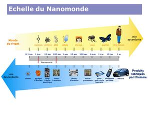 Echelle+du+Nanomonde.jpg