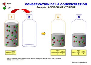 Concentrationconser (1).jpg