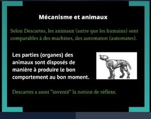 Mécanisme et animaux.jpg