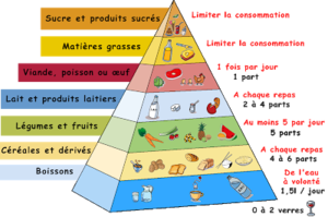 Pyramide alimentairenv8sg.png