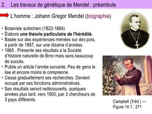 Mendel-et-les-dbuts-de-la-gntique-3-728.jpg