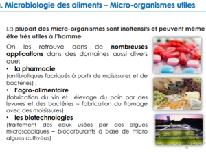 Micro-organismes utiles des aliments.png