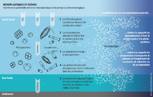 Microplastiques et océans-MR15.png