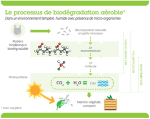 Plastique-Biodégradable-MR20.png