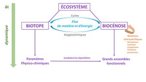 Interactions entre biotope et biocénose06-3.jpg