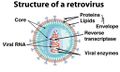 Retrovirus-AMP1965ISEFC.jpg