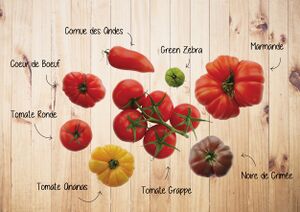 Tomates-varietes.jpg