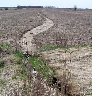 Le tracé distinct formé par les eaux de ruissellement est un signe d'érosion en rigoles ayant emporté le sol.JPEG