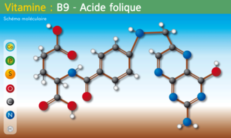 Molecule Vitamine-B9.png