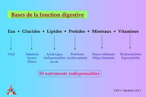 Nutriments indispensables pour l'Homme.jpg