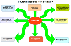 Carte mentale utilisée en classe-Pourquoi identifier les émotions.png