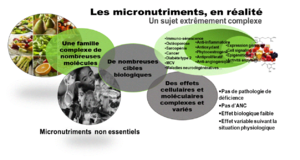 Micronutriments.png
