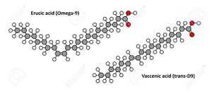 27509733-erucic-omega-9-cis-and-vaccenic-omega-7-trans-fatty-acid-molecules-vaccenic-acid-is-the-main-constit.jpg
