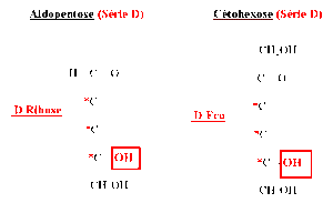Aldopentose-cetohexose-d.gif